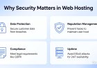 Why Security Matters in Web Hosting