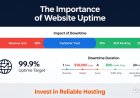 The Importance of Website Uptime